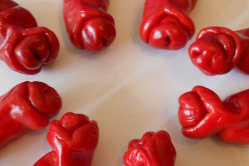 Penis Chili Rot 10 Samen (Peter-Pepper) "Der Blickfang im Garten" >>>Eignet sich hervoragend als Geschenk<<< – Bild 3